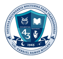 Secundaria No. 43